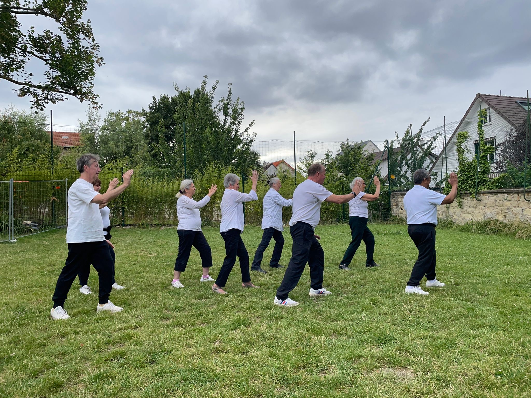 Le groupe pratique le tai chi sur la pelouse de La Fraternité, posture de poussée des mains